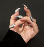 Silver Echo