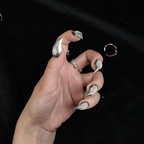 Silver Echo