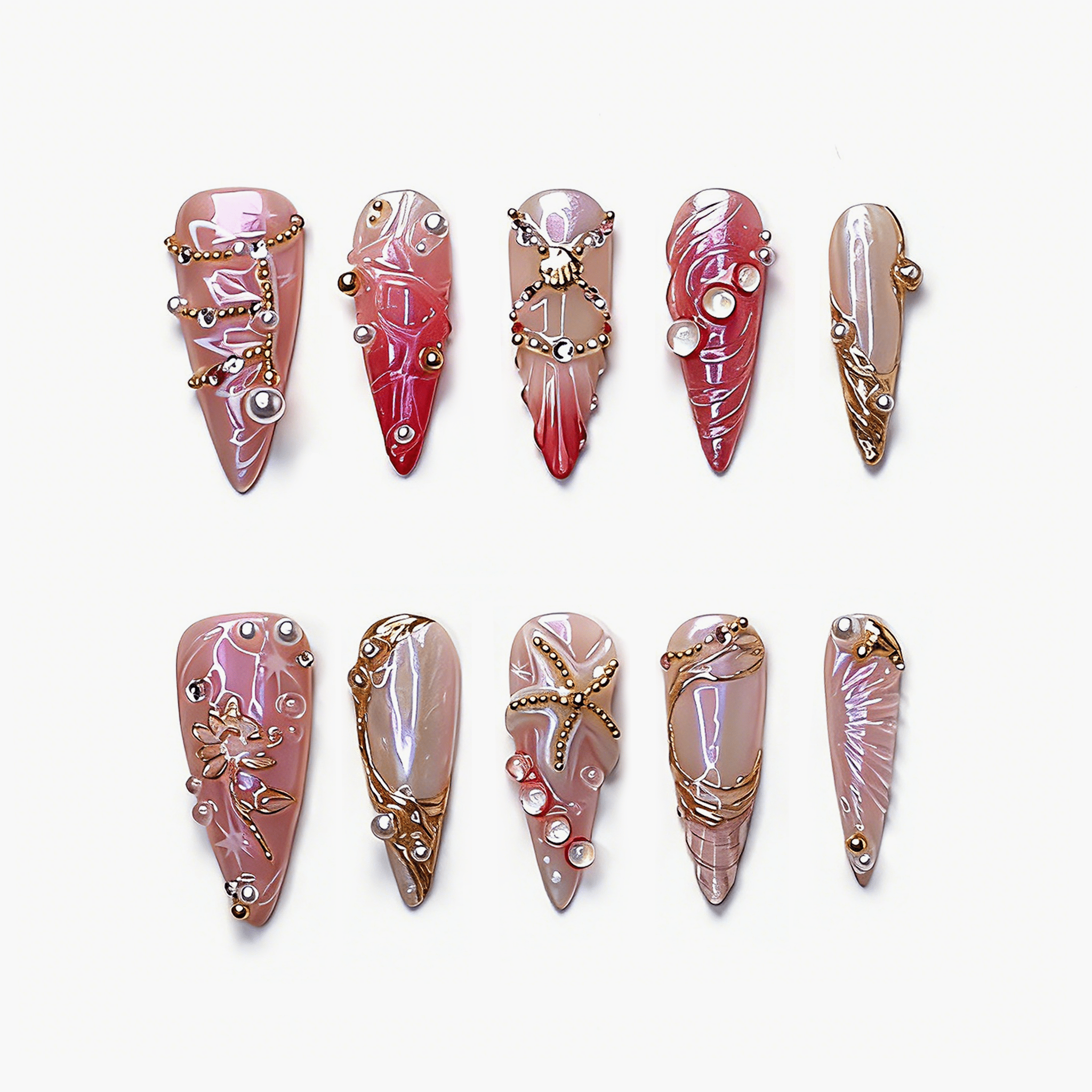 Seashell & Starlight